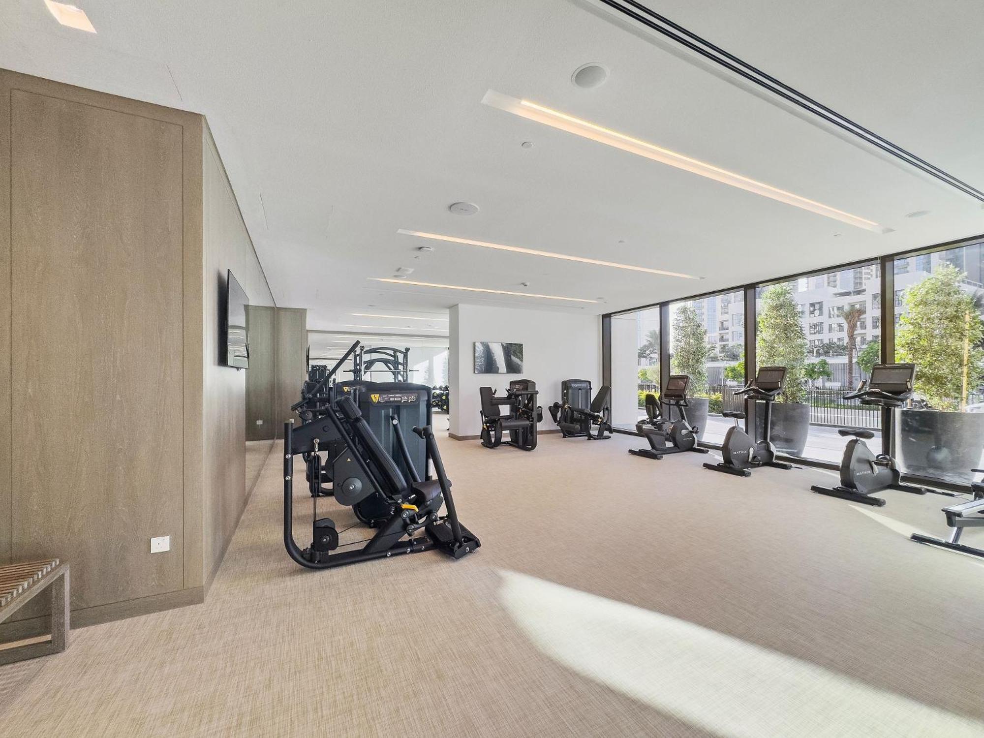 Apartment 1br Palace Residences, View *